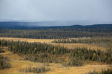 View over autumnal bog and forest landscape