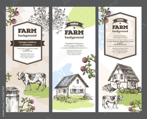 Set of agricultural banners. Agricultural backgrounds. Vintage illustrations. Sketch graphics.