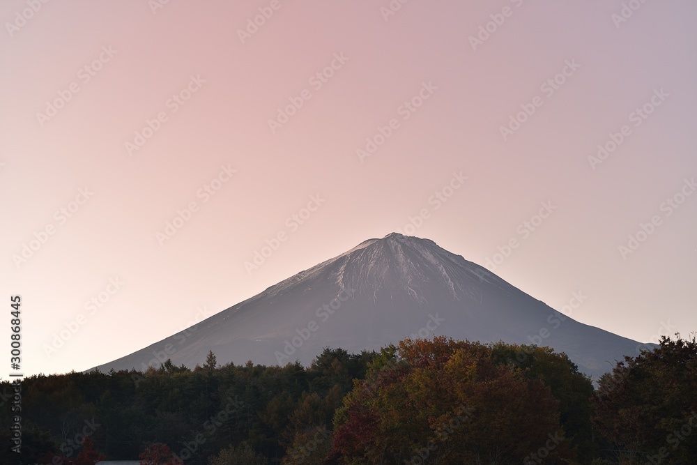 Fototapeta premium 富士山