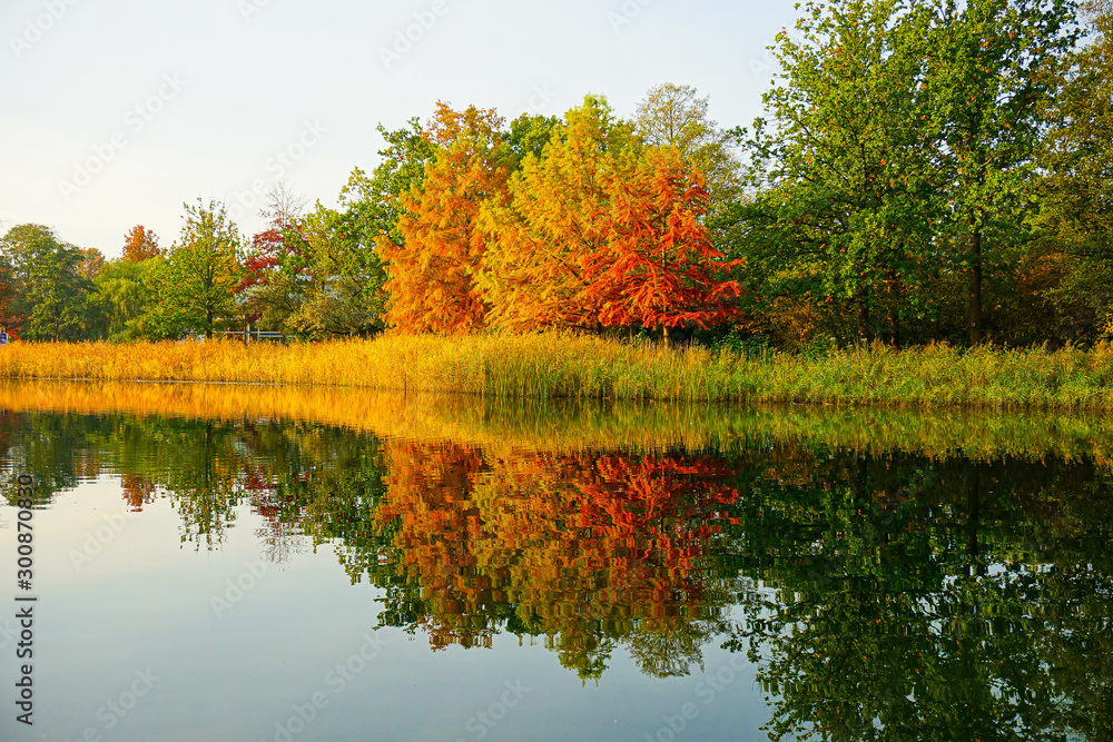 beautiful lakeside with trees and refelctions in autumn beautiful lakeside with trees and refelctions in autumn