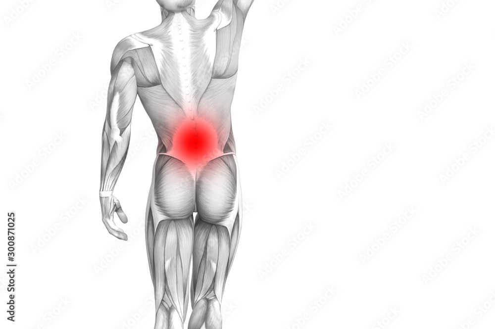 Conceptual back human anatomy with red hot spot inflammation articular joint pain or spine health care therapy or sport muscle concepts. 3D illustration man arthritis or bone sore osteoporosis disease Conceptual back human anatomy with red hot spot inflammation articular joint pain or spine health care therapy or sport muscle concepts. 3D illustration man arthritis or bone sore osteoporosis disease