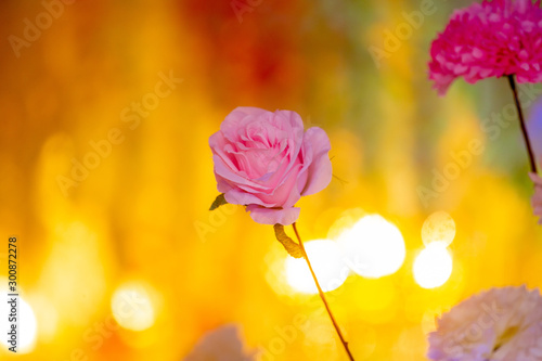 Hand made paper flower stick and colorful lighting.