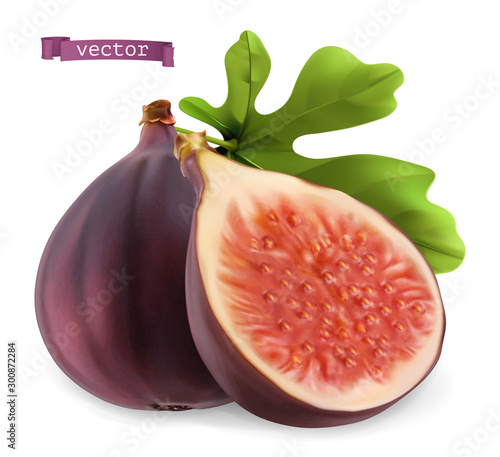 Figs 3d realistic vector icon