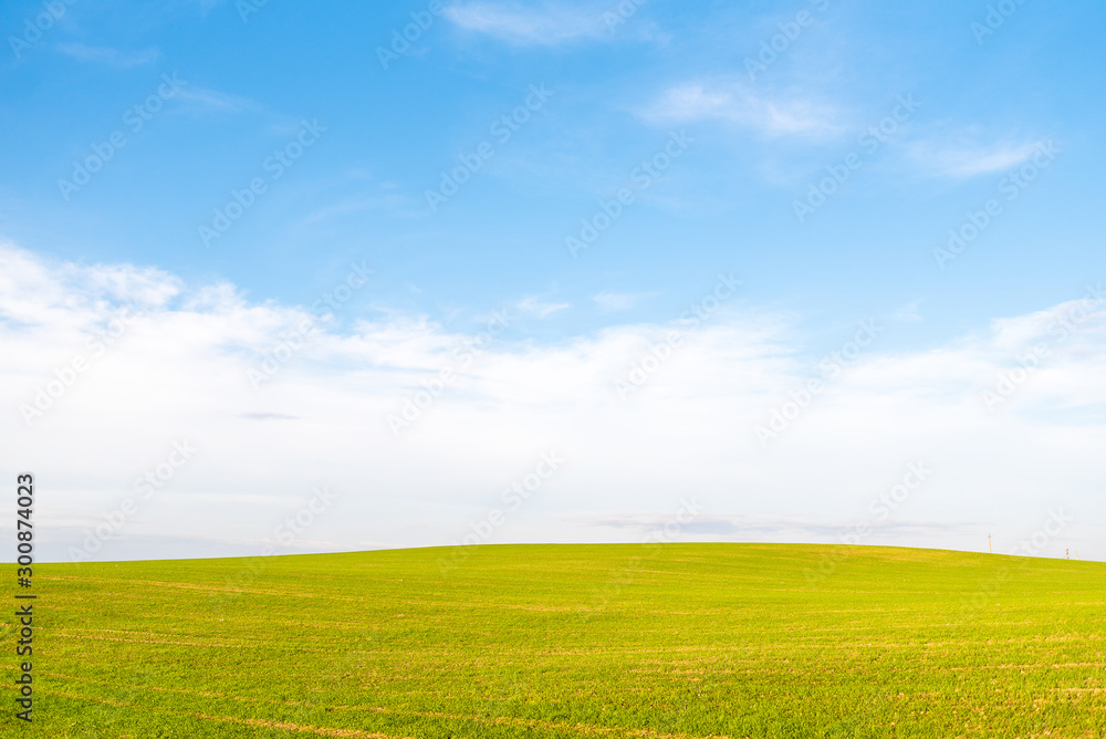 beautiful blue sky yellow autumn field, amazing landscape beautiful blue sky yellow autumn field, amazing landscape