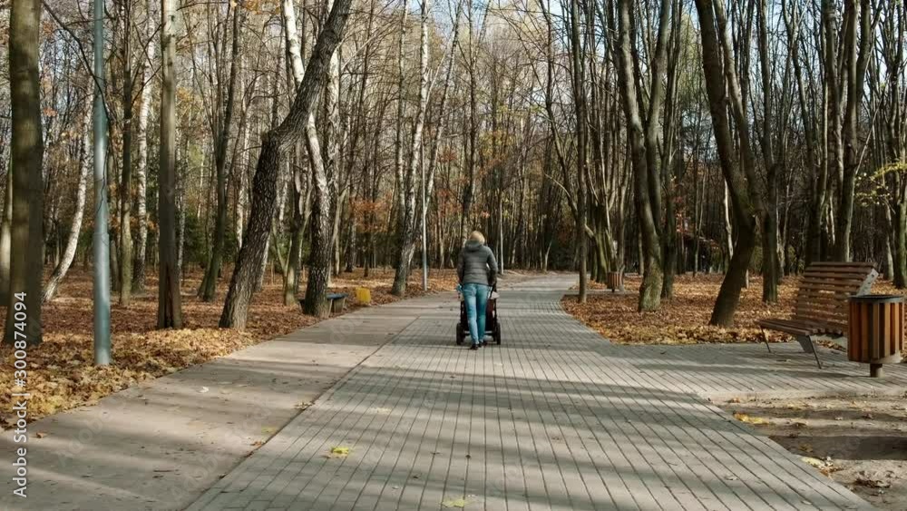 A young girl with a stroller walks in the autumn park. Back view. A young girl with a stroller walks in the autumn park. Back view.