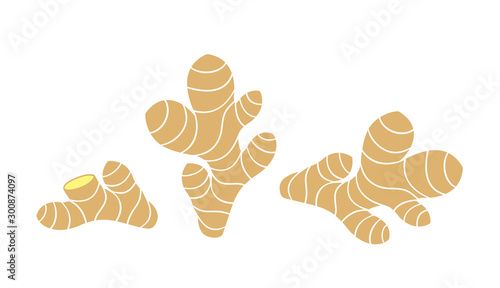 Ginger logo. Isolated ginger on white background