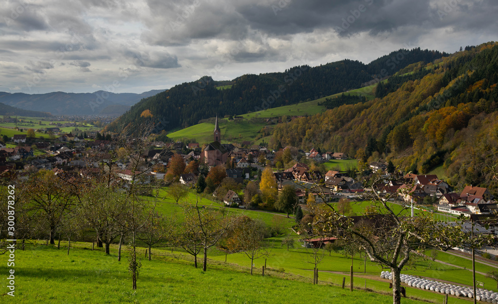 Naklejka premium Blick auf Oberharmersbach im Schwarzwald