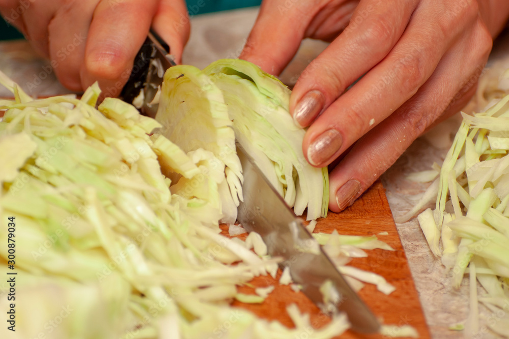 Shredded cabbage for salad dressing, pickling and canning