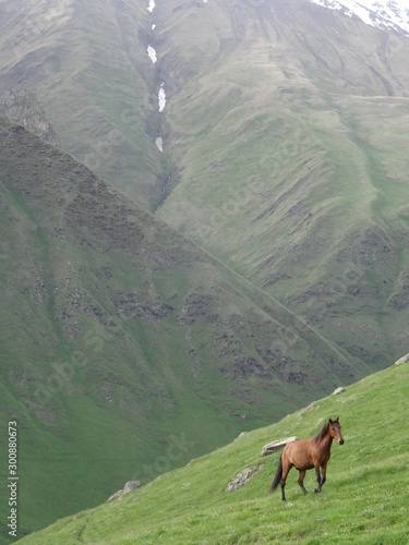 Géorgie Caucase