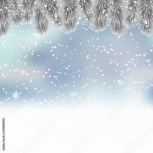 Christmas background with branch of pine and snow. Vector © Azad Mammedli