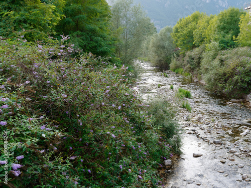 Province of Vicensa. Mountain river near the village of Localita Pria