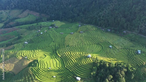 Aerial shot of the marvelous teraces rice field in mountains during sunset in Thailand. Beautiful Pa Bong Piang terraced rice fields, Mae Chaem, Chiang Mai Thailand in harvest season. photo