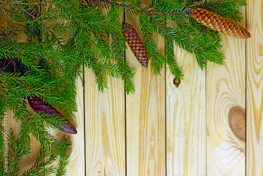 Wooden background with fir branches and cones. On a light wooden table are fluffy coniferous branches and natural cones. Top view, save the space. Frame with fir branches on a wooden background Wooden background with fir branches and cones. On a light wooden table are fluffy coniferous branches and natural cones. Top view, save the space. Frame with fir branches on a wooden background