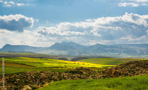 Panorama sunny green slopes of Ifrane at Moyen Atlas mountains, Morocco photo