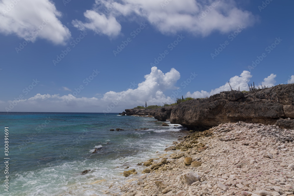sea beach coast tropical Bonaire island Caribbean sea sea beach coast tropical Bonaire island Caribbean sea