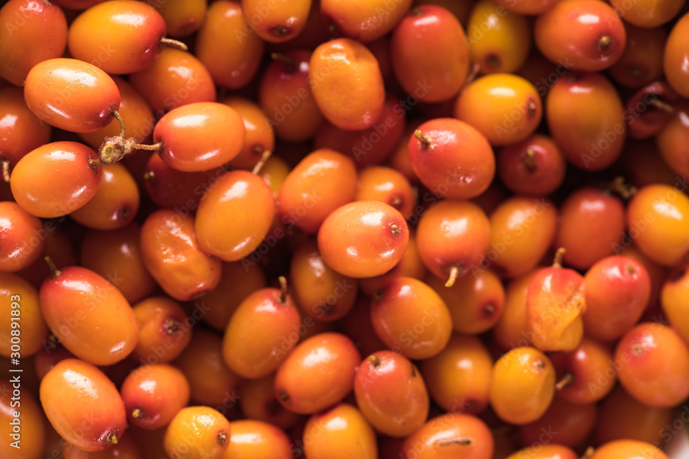 close up view of fresh raw sea buckthorn close up view of fresh raw sea buckthorn