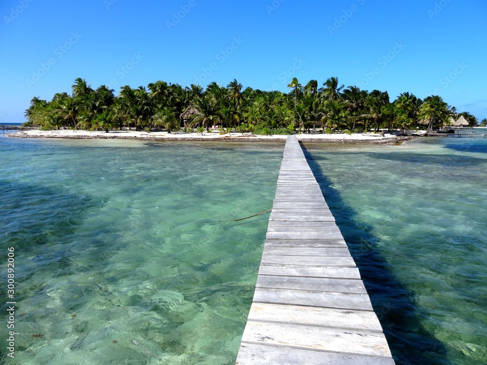 Belize île