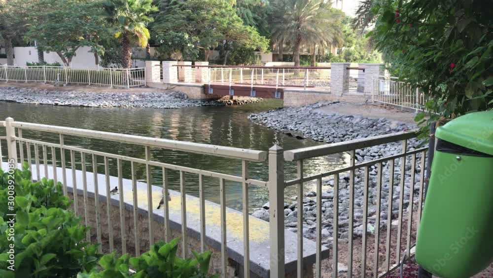 Scenic view of a lake with footbridge with trees around and birds are gathering Scenic view of a lake with footbridge with trees around and birds are gathering
