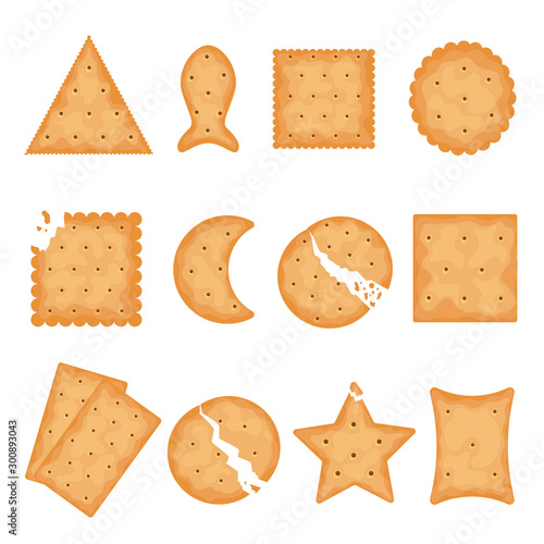 Fényképezés Crunchy cracker cookies flat vector illustrations set