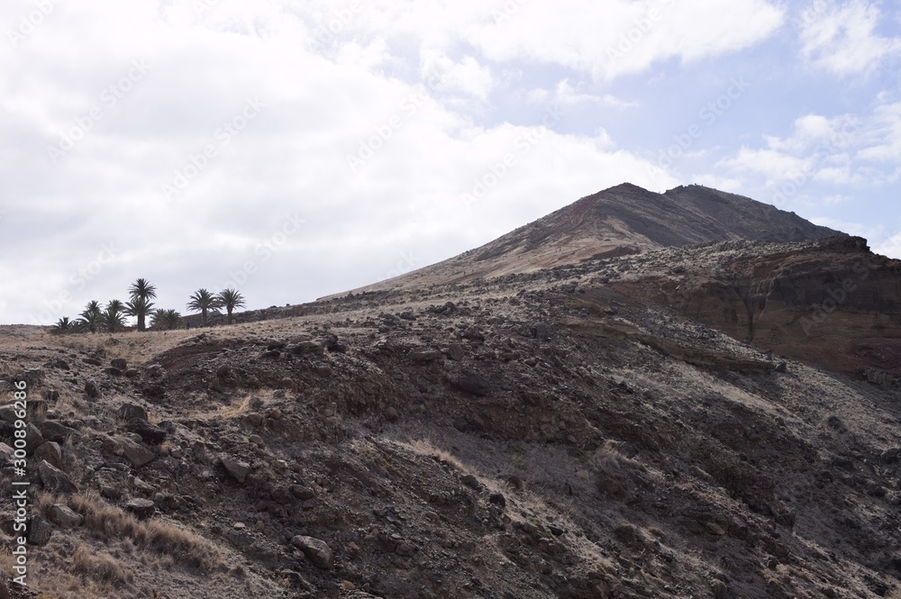 Beautiful landscape with an isolated hill and palm trees (Madeira, Portugal, Europe) Beautiful landscape with an isolated hill and palm trees (Madeira, Portugal, Europe)