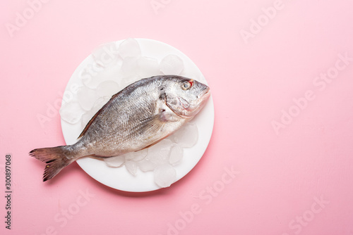 Photography fresh fish on plate