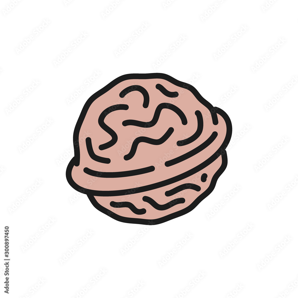 Obraz premium Vector walnut flat color icon. Isolated on white background