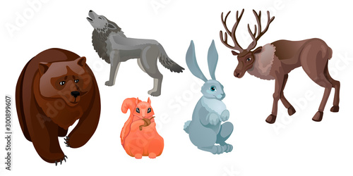Set of various forest wild animals. Vector characters