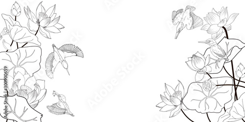 Lotus flowers and kingfishers, coloring, a black and white vector illustration