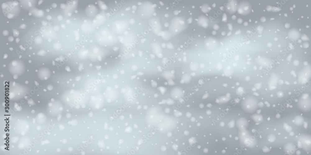 Fototapeta premium Snowflakes, snowfall.