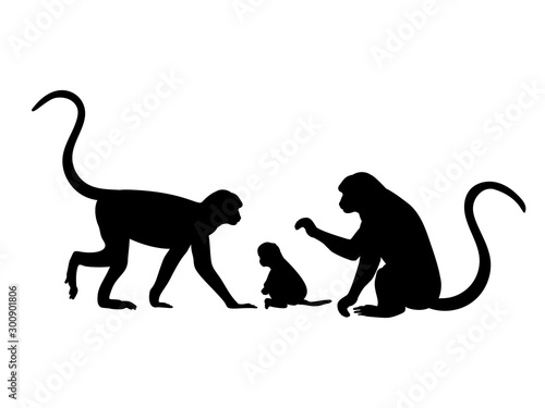 Monkey family. Silhouettes of animals