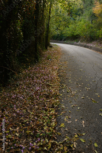 Walking in the mountains, autumn colours