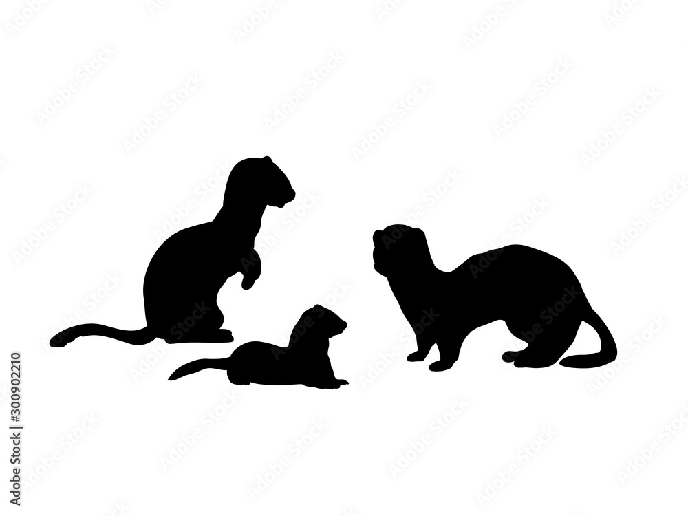 Ferrets family. Silhouettes of animals