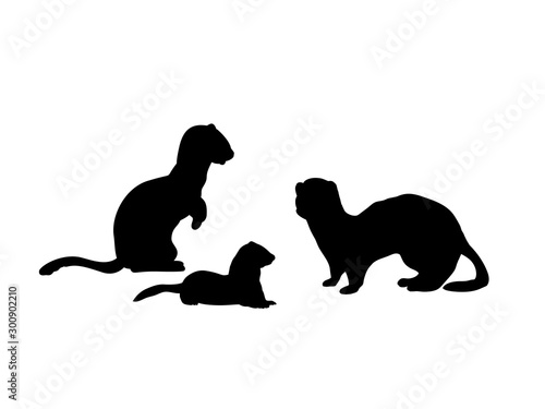Ferrets family. Silhouettes of animals photo