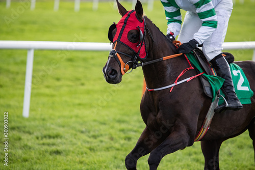 Race horse with red face mask and blinkers galloping on the race track
