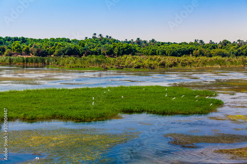 Fotografija River Nile in Egypt. Life on the River Nile