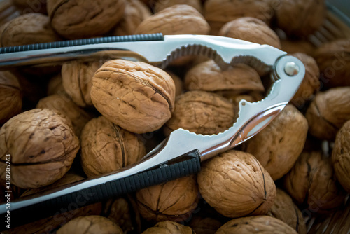 Nutcracker on brown walnuts. Whole walnuts