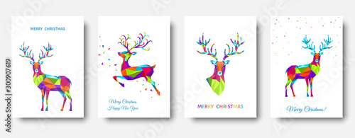 Colorful Christmas  reindeer and  snowflakes.