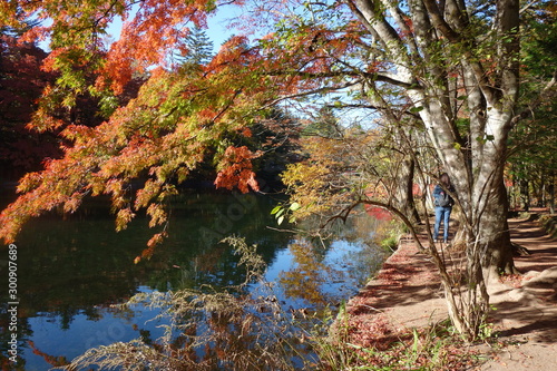紅葉した軽井沢の雲場池