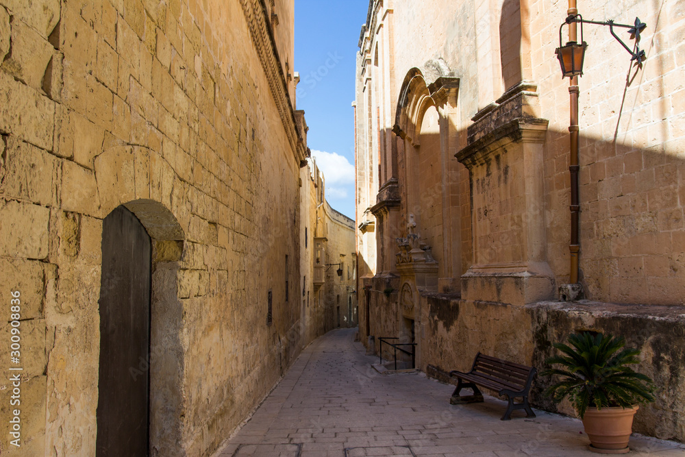 the fort of Mdina in Malta 