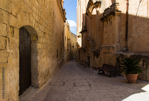 the fort of Mdina in Malta  © polhansen