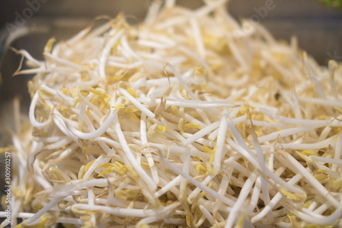 Organic mung bean sprout for food