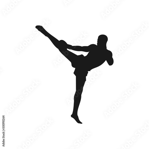 kick boxing Sport Silhouettes Activity, art vector design