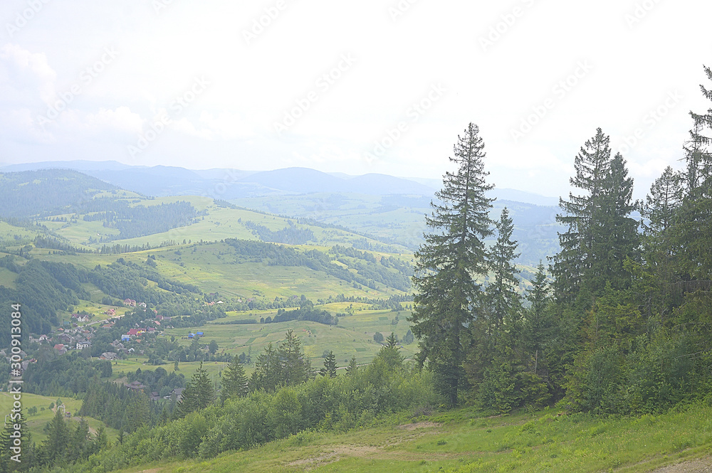 Summer landscape in the mountain village