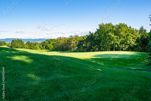 Golf Course with beautiful green field. Golf course with a rich green turf beautiful scenery. 