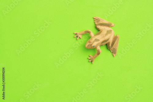 frog shaped rubber toy in color background © robcartorres