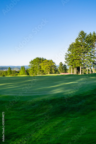 View of Golf Course with beautiful putting green. Golf course with a rich green turf beautiful scenery.  © okimo