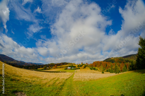 Fototapeta Naklejka Na Ścianę i Meble -  Beskidy 