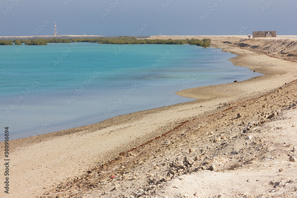 Sea sand beach with blue water in Abu Dhabi, United Arab Emirates (UAE). Sir Bani Yas island,