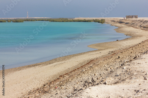 Sea sand beach with blue water in Abu Dhabi  United Arab Emirates  UAE . Sir Bani Yas island 