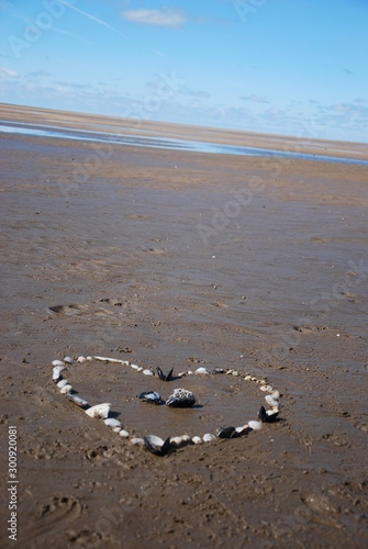 Shell Heart on Beach 1 